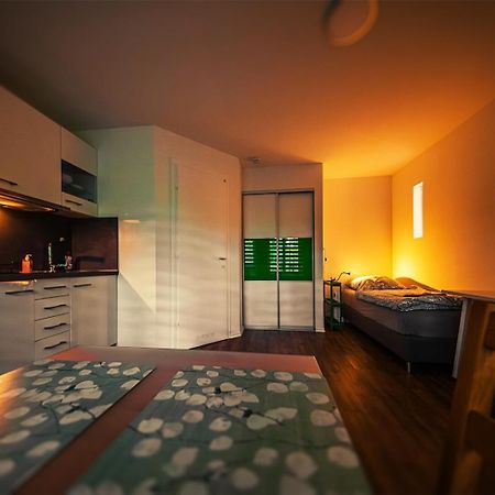 Gottwaldhaus-Freiberg-Apartment / A エクステリア 写真